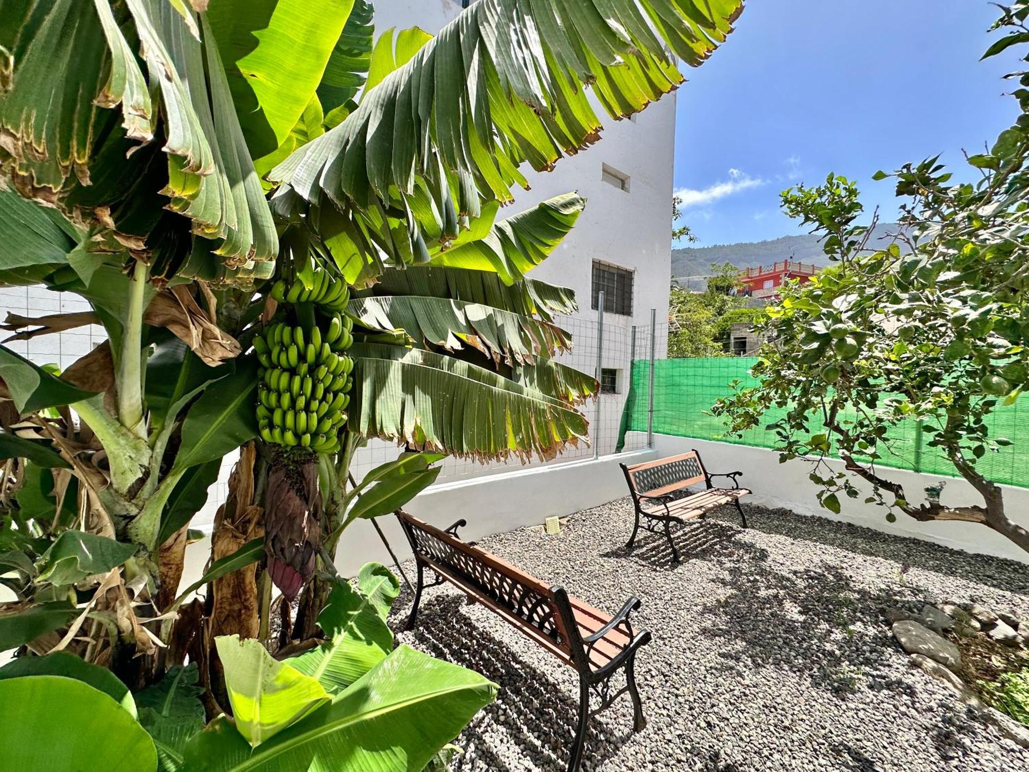 Villa Casa Tina Güímar Exterior foto