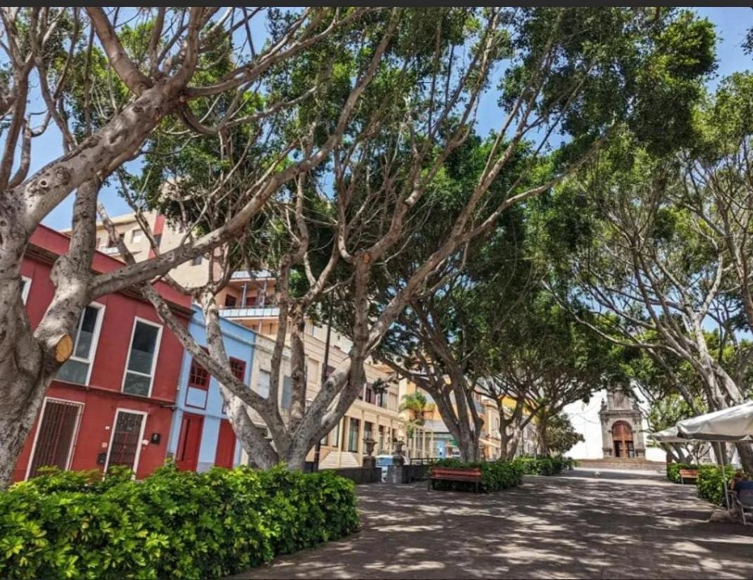 Villa Casa Tina Güímar Exterior foto